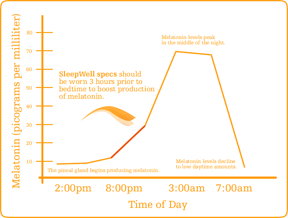 Graph of melatonin production during the night. 